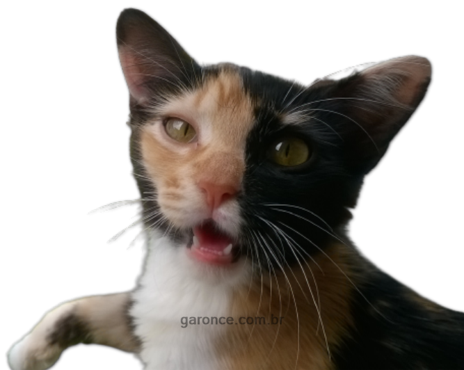 Mascot by primedesignsart